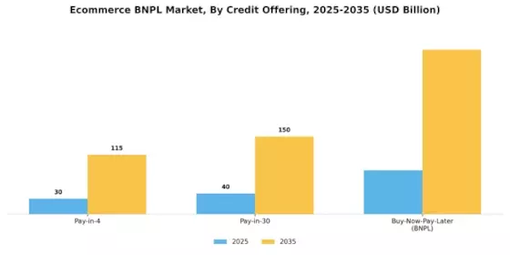 Ecommerce Bnpl Market Segment Image 1
