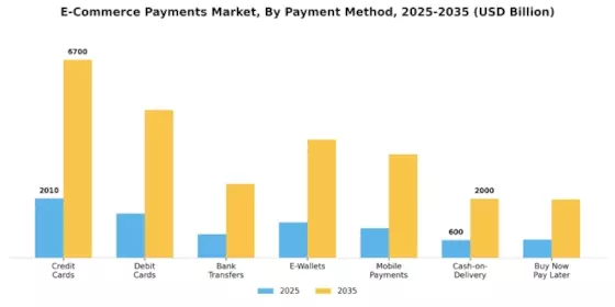 E-Commerce Payments Market Segment Image 0