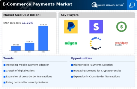 E-Commerce Payments Market Infographic