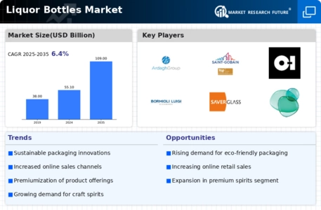Liquor Bottles Market Infographic