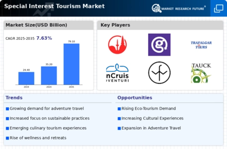 Special Interest Tourism Market Infographic
