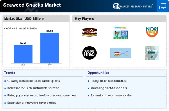 Seaweed Snacks Market Infographic