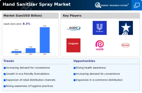 Hand Sanitizer Spray Market Infographic