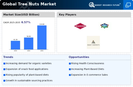 Tree Nuts Market Infographic