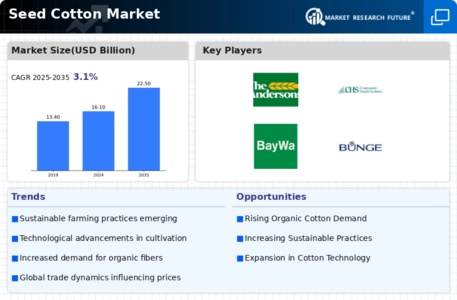 Seed Cotton Market Infographic