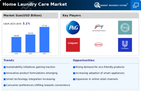 Home Laundry Care Market Infographic