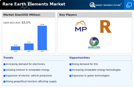Rare Earth Element Market Infographic