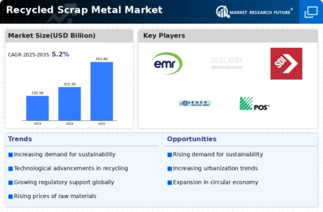 Recycled Scrap Metal Market Infographic
