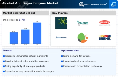 Alcohol And Sugar Enzyme Market Infographic