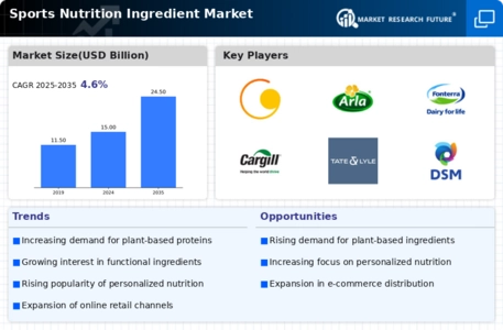 Sports Nutrition Ingredient Market Infographic