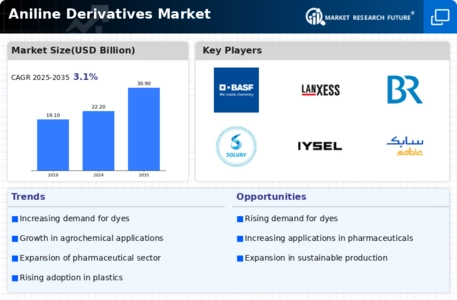 Aniline Derivatives Market Infographic