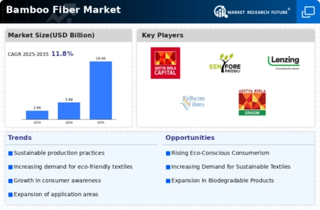 Bamboo Fiber Market Infographic