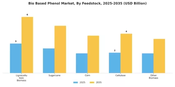 Bio Based Phenol Market Segment Image 1