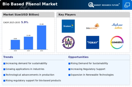 Bio Based Phenol Market Infographic