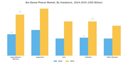Bio Based Phenol Market Segment Image 1