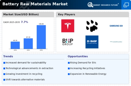 Battery Raw Materials Market Infographic