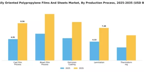 Biaxially Oriented Polypropylene In Films And Sheets Market Segment Image 3