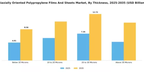 Biaxially Oriented Polypropylene In Films And Sheets Market Segment Image 4