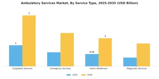 Ambulatory Services Market Segment Image 0