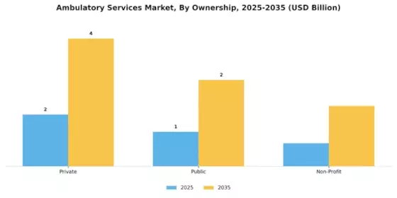 Ambulatory Services Market Segment Image 1