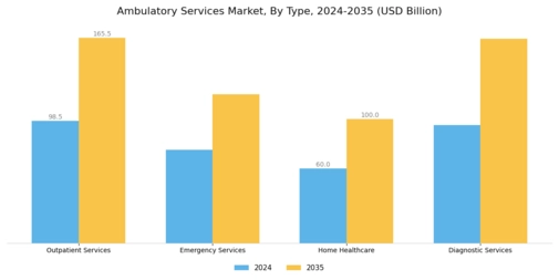 Ambulatory Services Market Segment Image 0