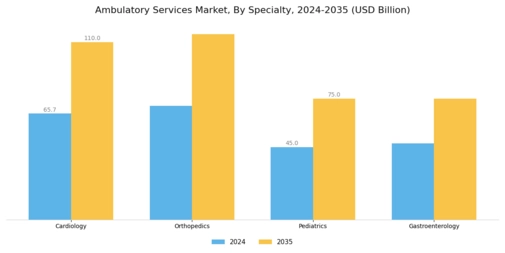 Ambulatory Services Market Segment Image 2