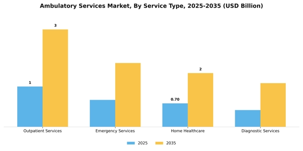Ambulatory Services Market Segment Image 1