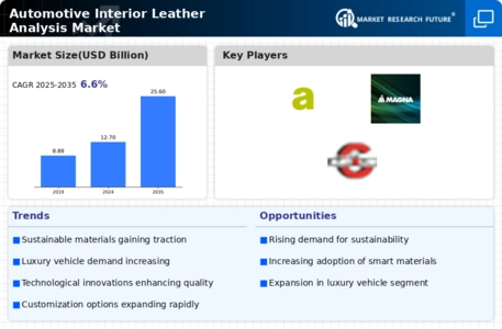 Automotive Interior Leather Analysis Market
 Infographic