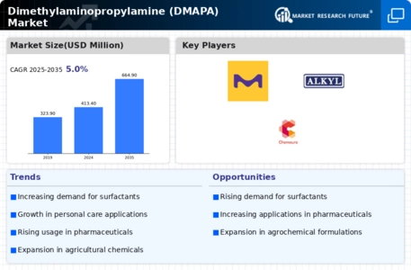 Dimethylaminopropylamine Market Infographic