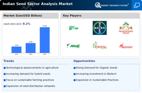 Indian Seed Sector Analysis Market Infographic