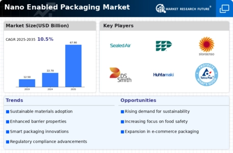 Nano Enabled Packaging Market Infographic