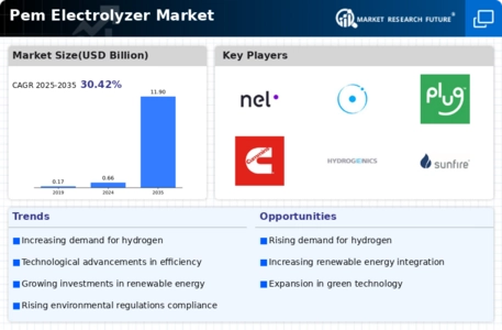 Pem Electrolyzer Market Infographic
