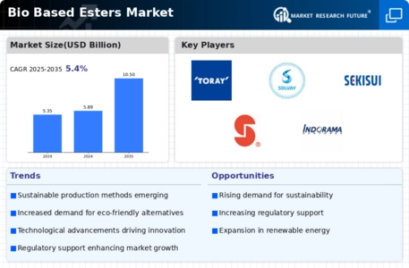 Bio Based Esters Market Infographic