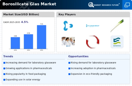 Borosilicate Glas Market Infographic
