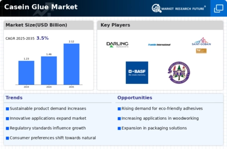Casein Glue Market Infographic