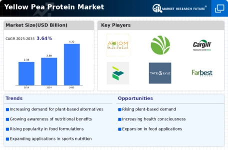 Yellow Pea Protein Market Infographic