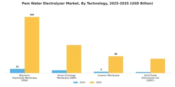 Pem Water Electrolyzer Market Segment Image 3