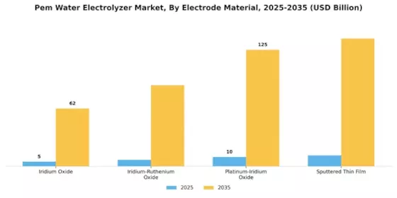 Pem Water Electrolyzer Market Segment Image 4