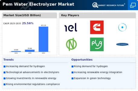 Pem Water Electrolyzer Market Infographic