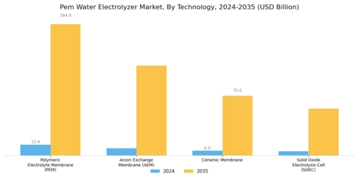 Pem Water Electrolyzer Market Segment Image 3