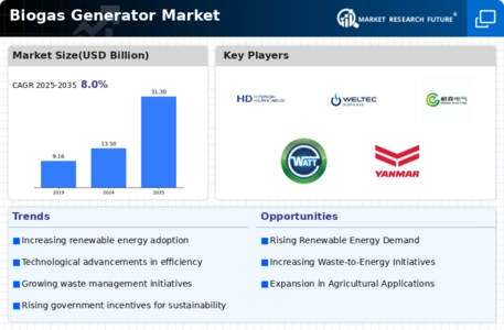 Biogas Generator Market Infographic
