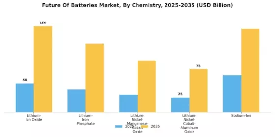 Future Of Batteries Market Overview Segment Image 2