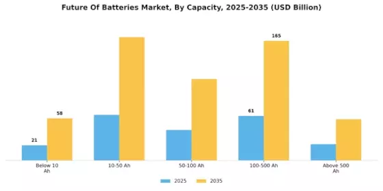 Future Of Batteries Market Overview Segment Image 4