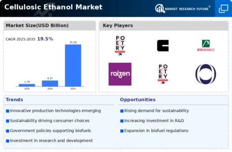 Cellulosic Ethanol Market Infographic