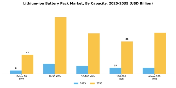 Lithium-ion Battery Pack Market Segment Image 1