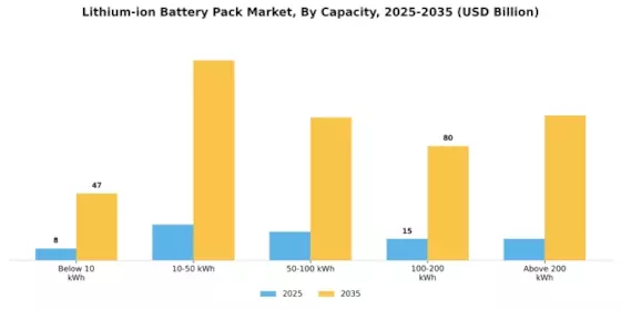 Lithium-ion Battery Pack Market Segment Image 3