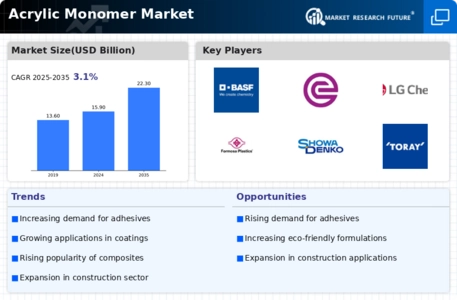 Acrylic Monomer Market Infographic