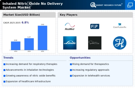 Inhaled Nitric Oxide No Delivery System Market Infographic
