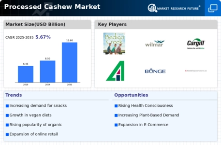 Processed Cashew Market Infographic