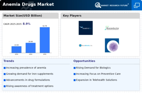 Anemia Drugs Market Infographic